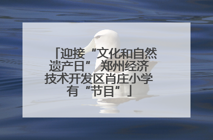 迎接“文化和自然遗产日” 郑州经济技术开发区肖庄小学有“节目”