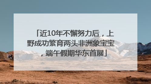 近10年不懈努力后，上野成功繁育两头非洲象宝宝，端午假期华东首展
