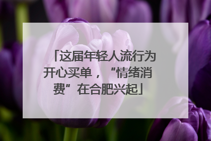 这届年轻人流行为开心买单，“情绪消费”在合肥兴起