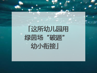 这所幼儿园用绿茵场“破题”幼小衔接
