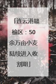 连云港赣榆区：50余万亩小麦陆续进入收割期