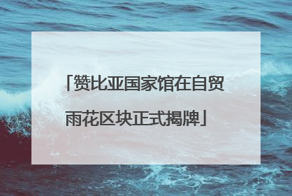 赞比亚国家馆在自贸雨花区块正式揭牌
