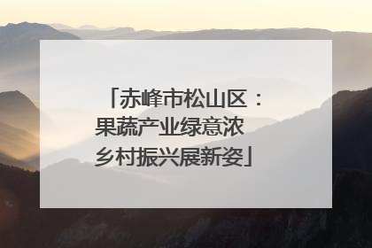 赤峰市松山区：果蔬产业绿意浓 乡村振兴展新姿