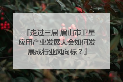 走过三届 眉山市卫星应用产业发展大会如何发展成行业风向标？