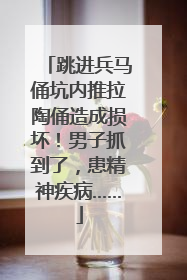 跳进兵马俑坑内推拉陶俑造成损坏！男子抓到了，患精神疾病……