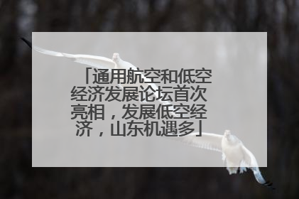 通用航空和低空经济发展论坛首次亮相，发展低空经济，山东机遇多