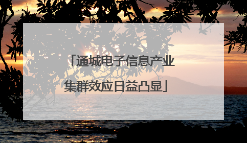 通城电子信息产业集群效应日益凸显