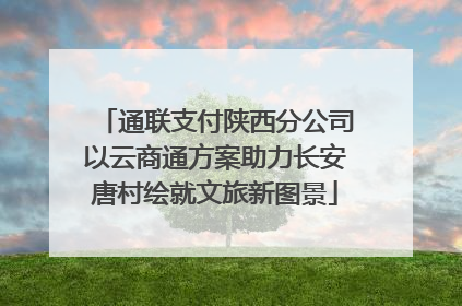 通联支付陕西分公司以云商通方案助力长安唐村绘就文旅新图景