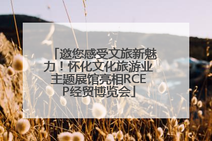邀您感受文旅新魅力！怀化文化旅游业主题展馆亮相RCEP经贸博览会