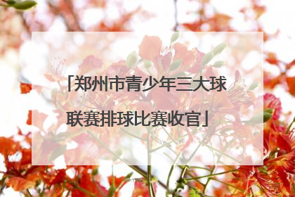 郑州市青少年三大球联赛排球比赛收官