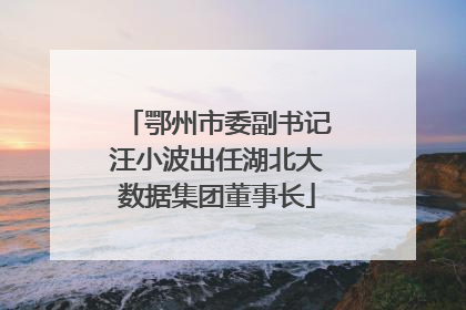 鄂州市委副书记汪小波出任湖北大数据集团董事长