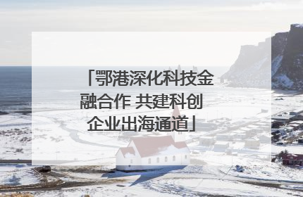 鄂港深化科技金融合作 共建科创企业出海通道