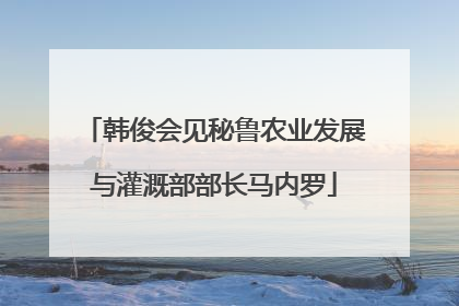 韩俊会见秘鲁农业发展与灌溉部部长马内罗