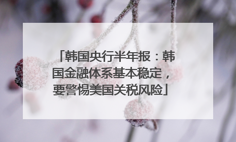 韩国央行半年报：韩国金融体系基本稳定，要警惕美国关税风险