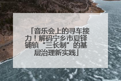 音乐会上的寻车接力！解码宁乡市夏铎铺镇“三长制”的基层治理新实践