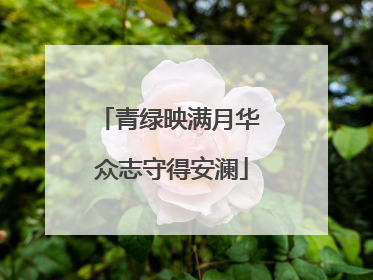 青绿映满月华 众志守得安澜