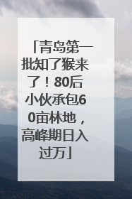 青岛第一批知了猴来了！80后小伙承包60亩林地，高峰期日入过万