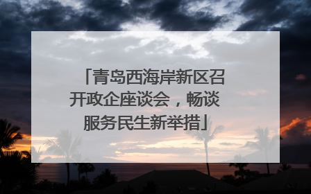 青岛西海岸新区召开政企座谈会，畅谈服务民生新举措