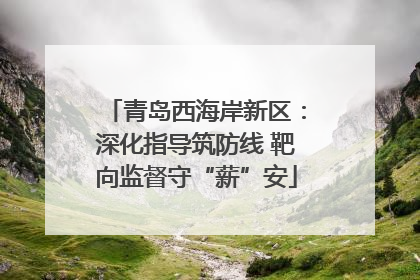 青岛西海岸新区：深化指导筑防线 靶向监督守“薪”安