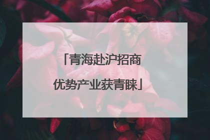 青海赴沪招商 优势产业获青睐