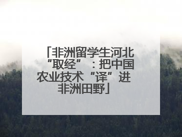 非洲留学生河北“取经”：把中国农业技术“译”进非洲田野