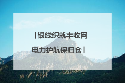 银线织就丰收网 电力护航保归仓