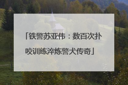 铁警苏亚伟：数百次扑咬训练淬炼警犬传奇