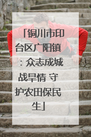 铜川市印台区广阳镇：众志成城战旱情 守护农田保民生