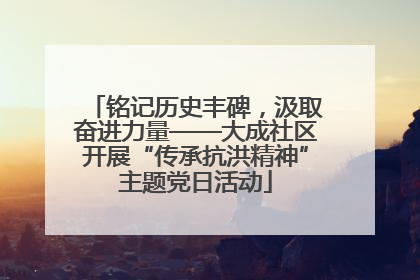 铭记历史丰碑，汲取奋进力量——大成社区开展“传承抗洪精神”主题党日活动