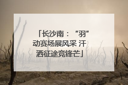 长沙南：“羽”动赛场展风采 汗洒征途竞锋芒