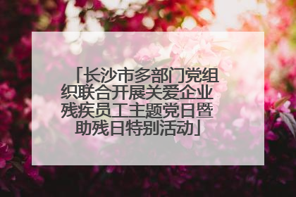 长沙市多部门党组织联合开展关爱企业残疾员工主题党日暨助残日特别活动