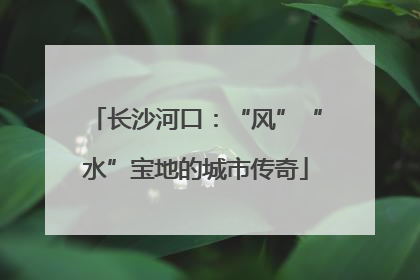 长沙河口：“风”“水”宝地的城市传奇