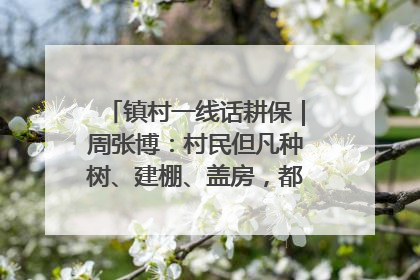 镇村一线话耕保｜周张博：村民但凡种树、建棚、盖房，都要向街道报批