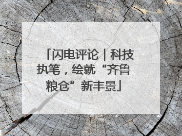 闪电评论｜科技执笔，绘就“齐鲁粮仓”新丰景
