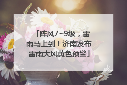 阵风7~9级，雷雨马上到！济南发布雷雨大风黄色预警