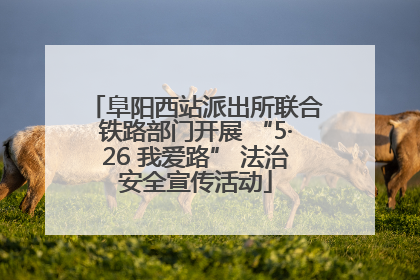 阜阳西站派出所联合铁路部门开展 “5·26 我爱路” 法治安全宣传活动