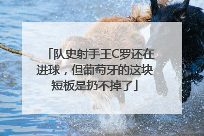 队史射手王C罗还在进球，但葡萄牙的这块短板是扔不掉了