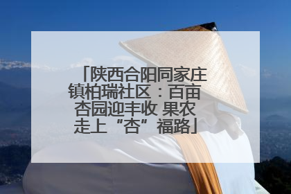 陕西合阳同家庄镇柏瑞社区：百亩杏园迎丰收 果农走上“杏”福路