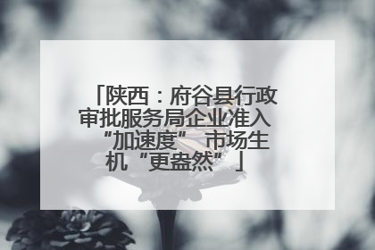 陕西：府谷县行政审批服务局企业准入“加速度” 市场生机“更盎然”