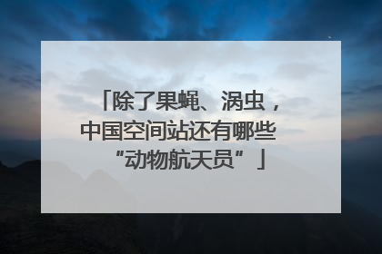 除了果蝇、涡虫，中国空间站还有哪些“动物航天员”