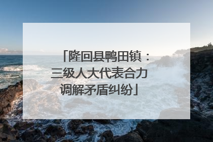 隆回县鸭田镇：三级人大代表合力调解矛盾纠纷