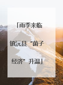雨季来临 镇沅县“菌子经济”升温