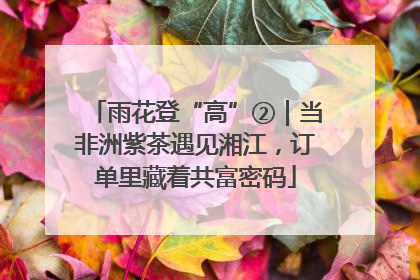 雨花登“高”②｜当非洲紫茶遇见湘江，订单里藏着共富密码