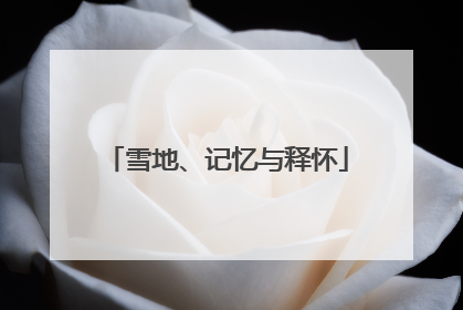雪地、记忆与释怀