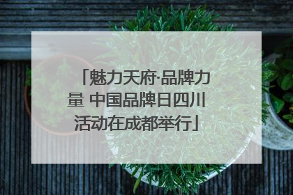 魅力天府·品牌力量 中国品牌日四川活动在成都举行