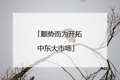 顺势而为开拓中东大市场