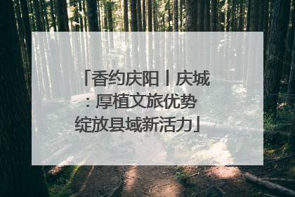 香约庆阳丨庆城：厚植文旅优势 绽放县域新活力