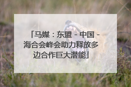 马媒：东盟－中国－海合会峰会助力释放多边合作巨大潜能