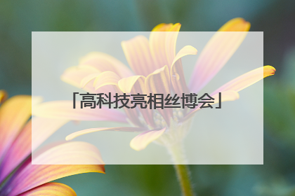 高科技亮相丝博会