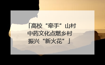 高校“牵手”山村 中药文化点燃乡村振兴“新火花”